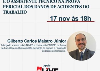 A TÉCNICA DE ELABORAÇÃO DOS QUESITOS E O ASSISTENTE TÉCNICO NA PROVA PERICIAL DOS DANOS DE ACIDENTES DO TRABALHO