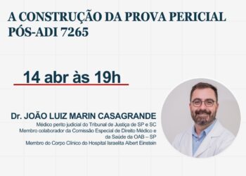 A CONSTRUÇÃO DA PROVA PERICIAL PÓS-ADI 7265