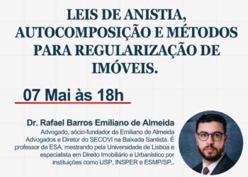 LEIS DE ANISTIA, AUTOCOMPOSIÇÃO E MÉTODOS PARA REGULARIZAÇÃO DE IMÓVEIS.